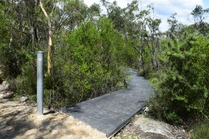 Maddens Falls, Darkes Forest NSW walking track