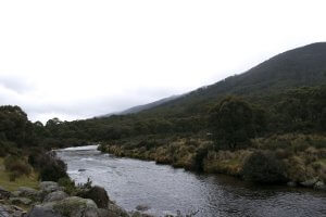 Bullocks Hut/Thredbo river