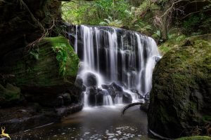 Weeping Rock