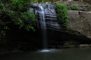 Buderim Falls