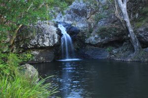 Kondalilla Falls