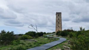 Boyd's tower walk