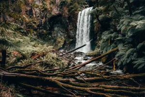 Hopetoun Falls Walk